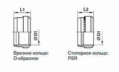 D-PSR